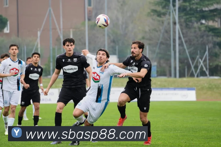 沙巴体育APPAPP 封面图